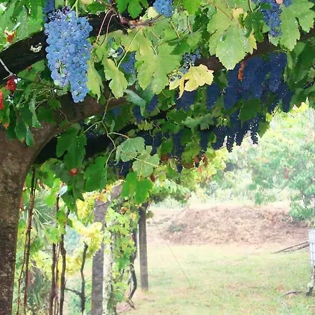 Leiras De Candoz Douro Valley * Marco de Canavezes