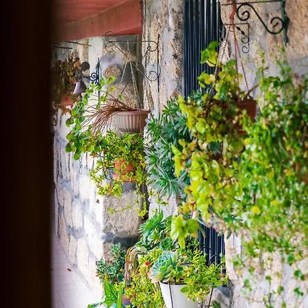 Leiras De Candoz Douro Valley Dom wakacyjny Marco de Canavezes