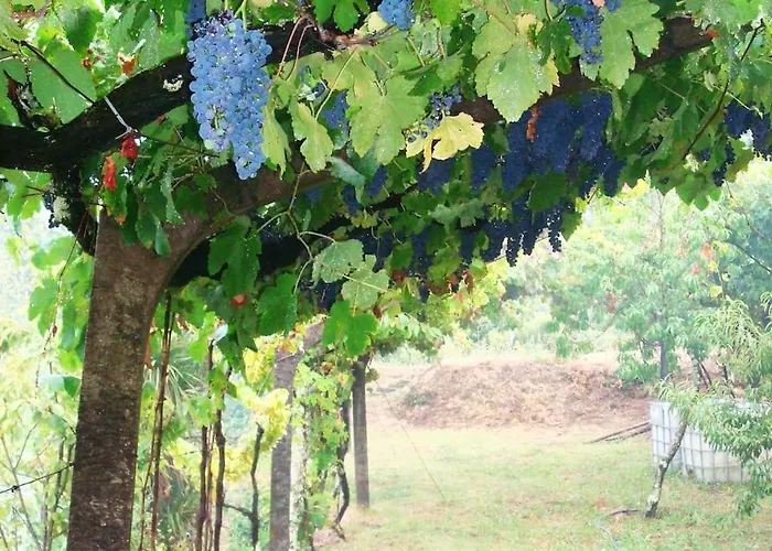 Leiras De Candoz Douro Valley * Marco de Canavezes