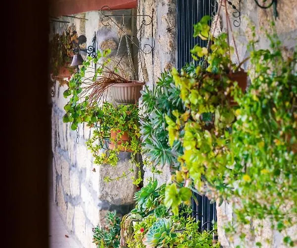 Leiras De Candoz Douro Valley Holiday home Marco de Canaveses